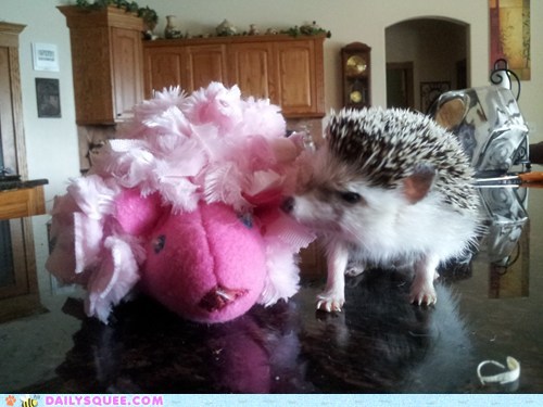 Feathers?  Are you kidding me?